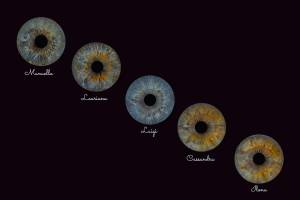 Jean-Marc PENRATH - STUDIO DES VIGNES D'AVARICUM