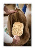 BENOÎT RAJAU - BENOIT RAJAU PHOTOGRAPHE
